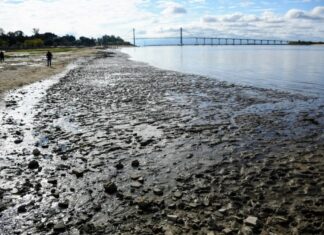 Nuestra provincia fue declarada en emergencia hídrica por la bajante del Paraná