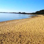 PÁGINA 8 RÍO PARANÁ VICEMINISTRO MEDIO AMBIENTE