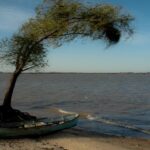 PÁGINA 8 RÍO URUGUAY