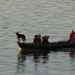 PÁGINA 8 VEDA PESQUERA