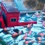 Pagina 7 22 de julio 2021 Cayó a un arroyo y la carga quedó flotando