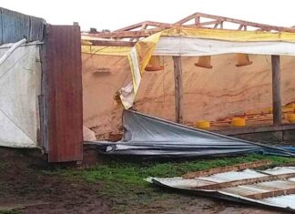 Vendaval “atípico” causó destrozos en un galpón