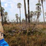 p2 – Entre Ríos entre los destinos mas elegidos