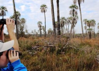 Entre Ríos entre los destinos más elegidos