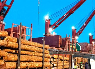 Los puertos entrerrianos trabajan en simultáneo