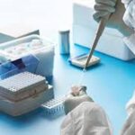 p3 coronavirus – reporte diario1