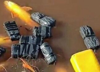 Reflejaron la preocupación por la pesca indiscriminada de dorados en el río Uruguay