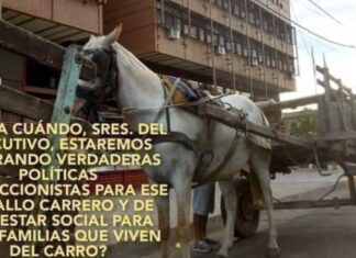 Proteccionistas reúnen adhesiones