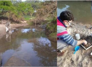 Diagnostican la microcuenca del arroyo El Overo