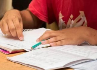 Asistieron a 254 estudiantes
