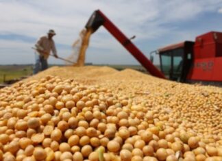 Exportación: subió el valor de una veintena de productos