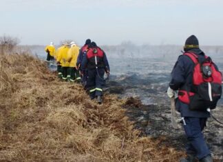 Instalarán una base de operaciones en el Delta