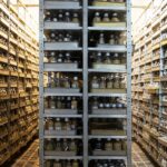 Foto del día 3 de agosto 2021