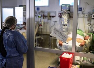 Se contabilizaron 66 nuevos casos de Covid