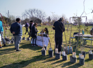 Jornadas de adopciones y plantaciones de árboles