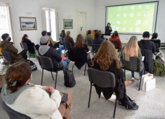 Tutorías para diseñadores de emprendimientos