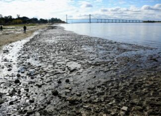 Esperan que el río Paraná descienda para octubre