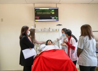 Primera simulación de alta fidelidad