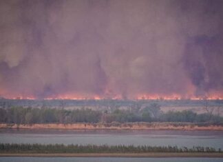 Brigadistas entrerrianos combaten incendios en islas