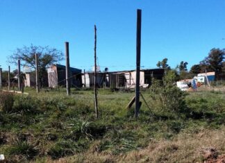 Denuncian nuevas usurpaciones de lotes