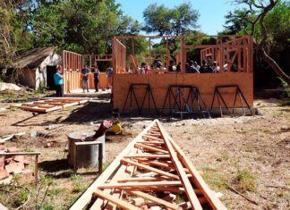 Avanzan en la construcción en madera de álamo