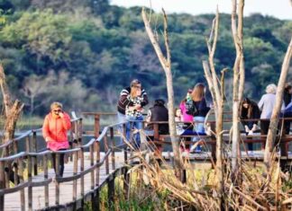 Destacan la recuperación del turismo post receso