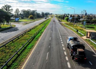 Impulsan la forestación en rutas provinciales