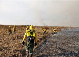 Nuevo comando para combatir los focos ígneos