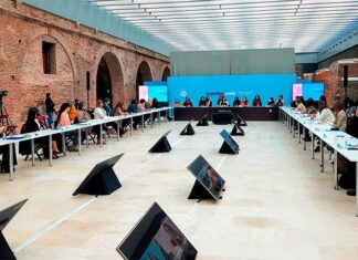 Se reunió el Consejo Federal de las Mujeres