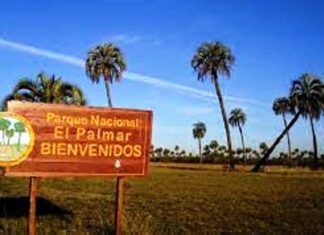 Se instó a conservar las especies nativas