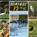 p4 travesía fluvial por los humedales1