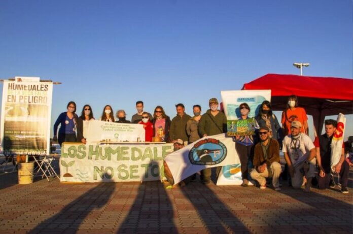 p5 - Se expresaron por los humedales