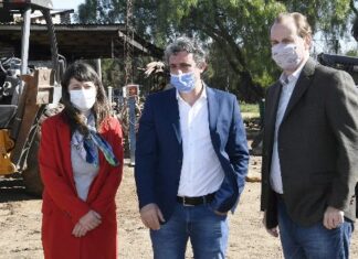 Proyectan potenciar el sector foresto industrial