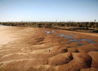 Pérdidas por la bajante del río