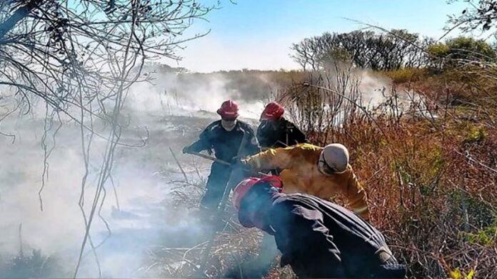 p8 - Brigadistas alertan a la población