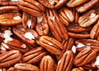Impulsan la producción de nuez pecán