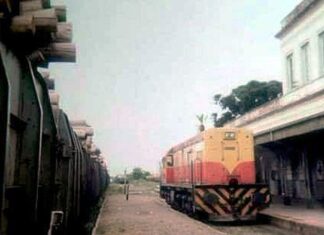 La vuelta del ferrocarril, una posibilidad de beneficios económicos y sociales
