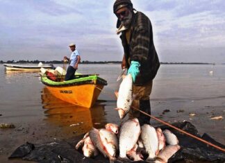Proyecto para subsidiar a los pescadores