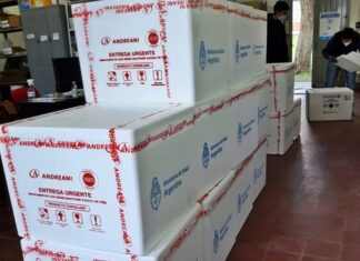 Llegaron casi 60 mil vacunas