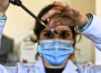 Existen seis proyectos de vacunas contra el Covid