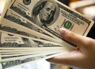 Los argentinos poseen 2 de cada 10 dólares del circulante en el mundo