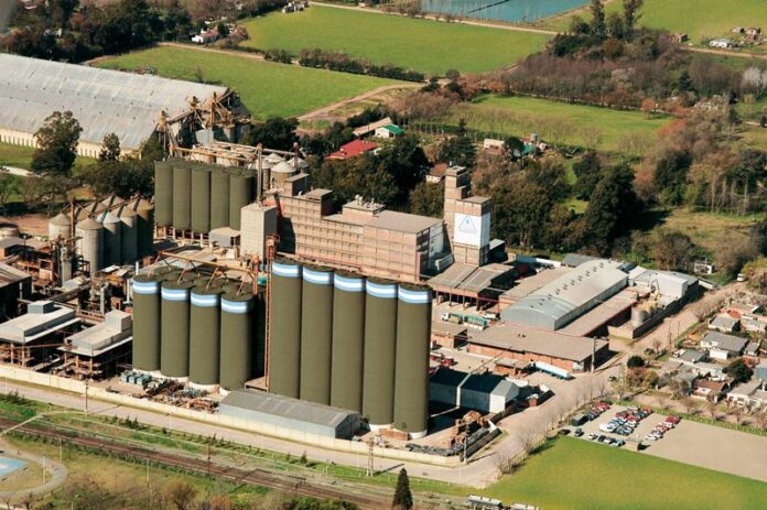 PÁGINA 9 MOLINOS CONCURSO ACREEDORES