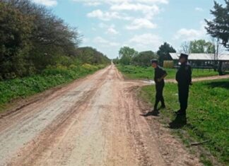 Costosa planificación y tres días para retirar la droga