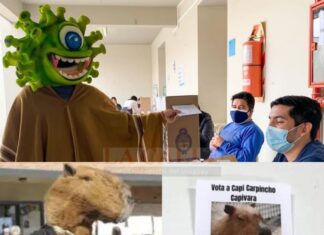 Coronavirus y carpinchos fueron las sorpresas del domingo