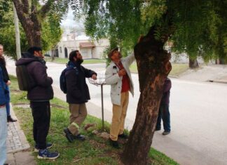 Capacitaron sobre arbolado urbano y poda