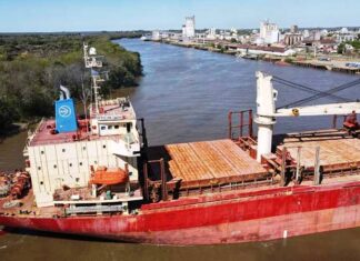 Otro ultramarino amarró en el Puerto uruguayense
