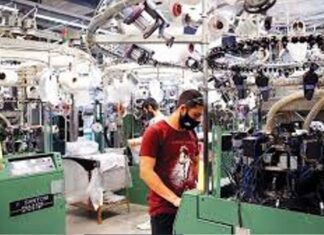 La economía creció en julio el 11,7% interanual