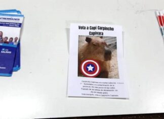 Fueron filtradas boletas de carpinchos en Colón