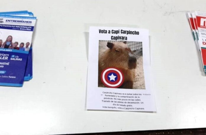 p4 - Filtraron boletas de carpinchos en Colón