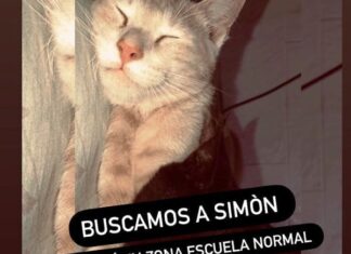 Piden la colaboración de los vecinos